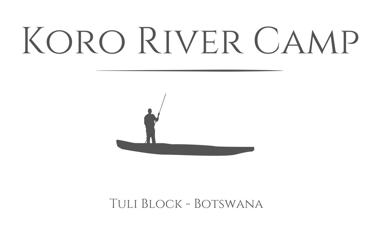 Koro River Camp